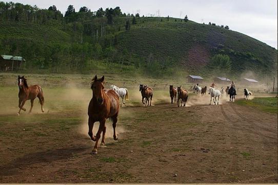 Parade Rest Ranch West Yellowstone Dış mekan fotoğraf